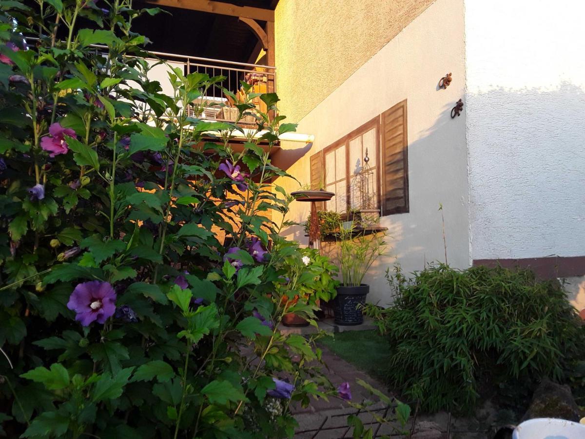 شقة Haus Sonnenblick Momlingen المظهر الخارجي الصورة
