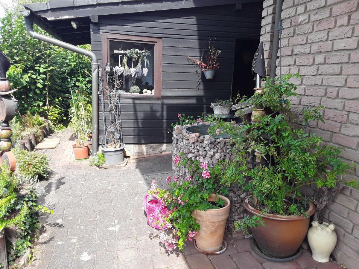 شقة Haus Sonnenblick Momlingen المظهر الخارجي الصورة